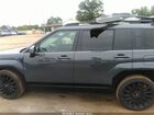 2024 Hyundai Santa Fe Calligraphy Gray vin: 5NMP5DGL5RH064037