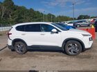 2023 Hyundai Santa Fe Sel White vin: 5NMS24AJ3PH576757