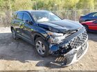 2023 Hyundai Santa Fe Sel Black vin: 5NMS24AJ9PH590792