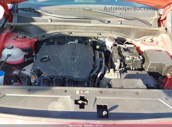 5NMS2DAJ1PH539108 2023 HYUNDAI SANTA FE Красный Вид сзади
