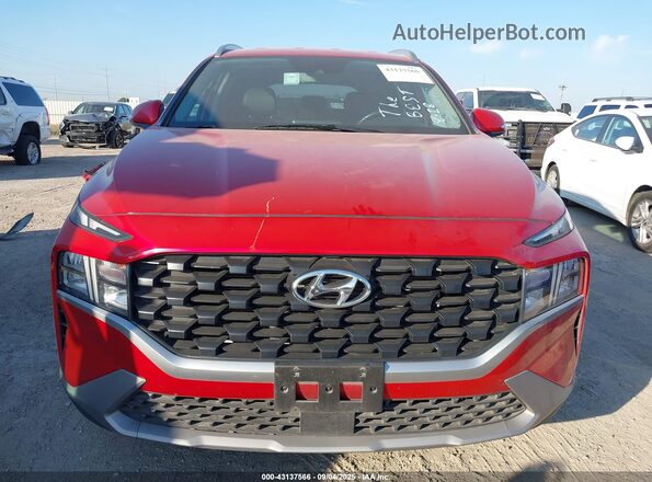 5NMS2DAJ1PH539108 2023 HYUNDAI SANTA FE Красный Вид задней части салона