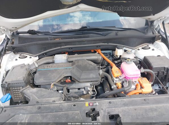5NMS3DA14PH002746 2023 HYUNDAI SANTA FE HYBRID Белый Вид сзади