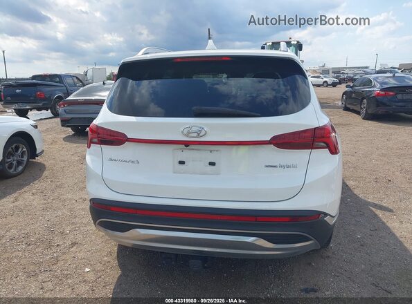 5NMS3DA14PH002746 2023 HYUNDAI SANTA FE HYBRID Белый 
