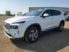 2021 Hyundai Santa Fe Sel Белый vin: 5NMS3DAJ5MH365777