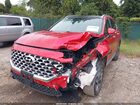 2021 Hyundai Santa Fe Limited Red vin: 5NMS4DALXMH315956