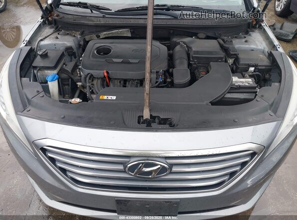 5NPE24AF2HH504462 2017 HYUNDAI SONATA Silver Вид ззаду