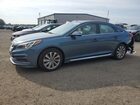 2017 Hyundai Sonata Sport Blue vin: 5NPE34AF5HH479568