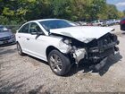 2019 Hyundai Sonata Sel White vin: 5NPE34AF8KH771366