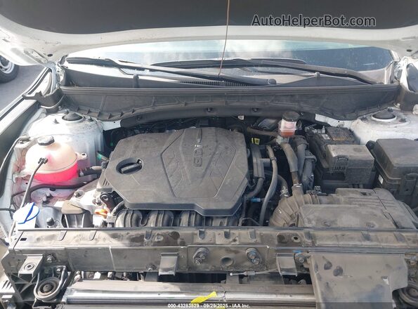 5NTJB4AE5RH096838 2024 HYUNDAI SANTA CRUZ White Вид ззаду