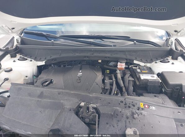 5NTJCDAE2RH083784 2024 HYUNDAI SANTA CRUZ White უკანა ხედი