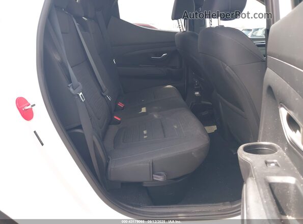5NTJCDAE2RH083784 2024 HYUNDAI SANTA CRUZ White VIN კოდის სტიკერის ხედი