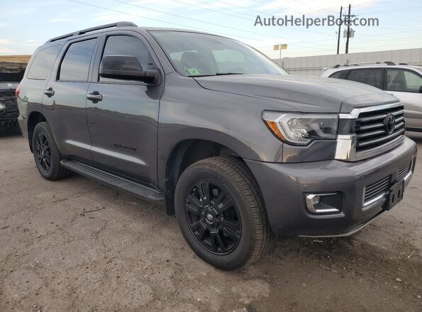 5TDCY5B16MS182427 2021 TOYOTA SEQUOIA Gray Առջևի աջ