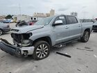 2019 Toyota Tundra Crewmax Limited Gray vin: 5TFHY5F18KX793731