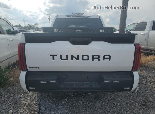 5TFKB5DB3SX309631 2025 TOYOTA TUNDRA Белый Вид сзади
