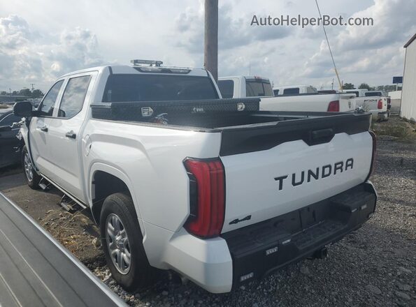 5TFKB5DB3SX309631 2025 TOYOTA TUNDRA Белый Задняя левая четверть