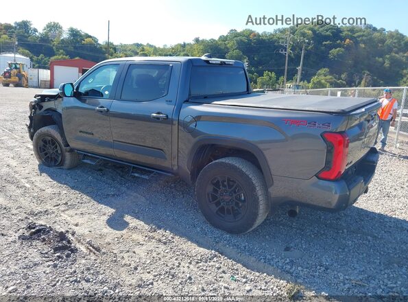 5TFLA5DB9RX152804 2024 TOYOTA TUNDRA Серый Задняя левая четверть