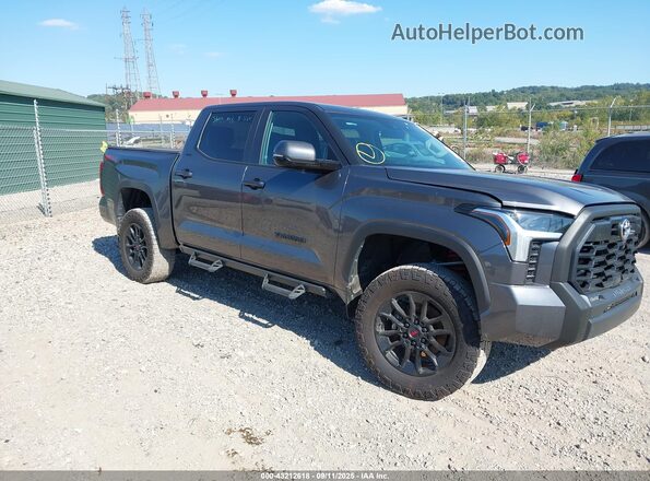 5TFLA5DB9RX152804 2024 TOYOTA TUNDRA Серый Передняя правая четверть