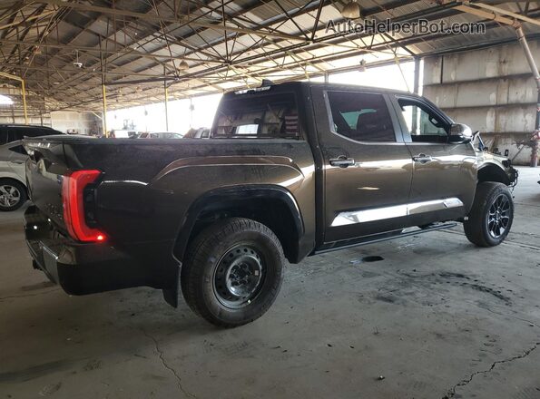 5TFMA5DB1SX283123 2025 TOYOTA TUNDRA Коричневый Задняя правая четверть