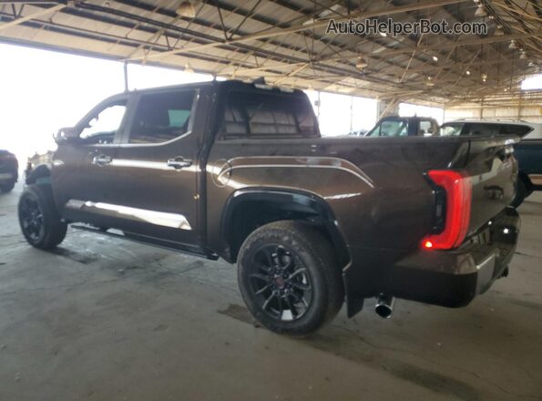 5TFMA5DB1SX283123 2025 TOYOTA TUNDRA Коричневый Задняя левая четверть