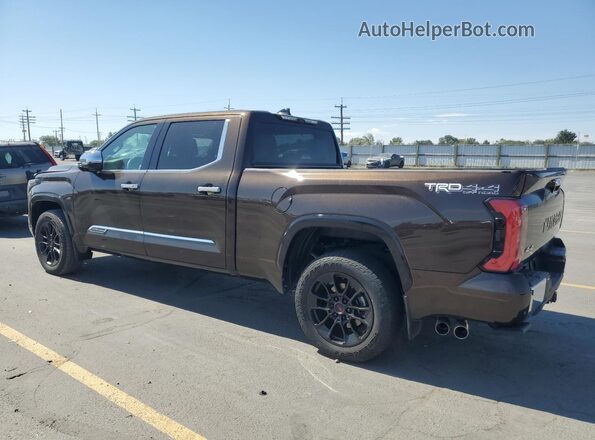 5TFMA5EC1PX013355 2023 TOYOTA TUNDRA Коричневый Задняя левая четверть