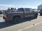 2023 Toyota Tundra Crewmax Platinum Коричневый vin: 5TFMA5EC1PX013355