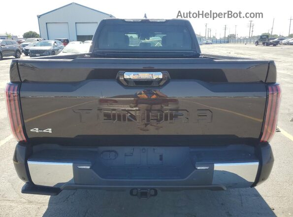 5TFMA5EC1PX013355 2023 TOYOTA TUNDRA Коричневый Вид сзади