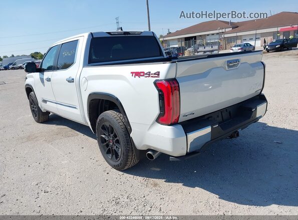 5TFMC5DB3SX095620 2025 TOYOTA TUNDRA HYBRID Белый Задняя левая четверть