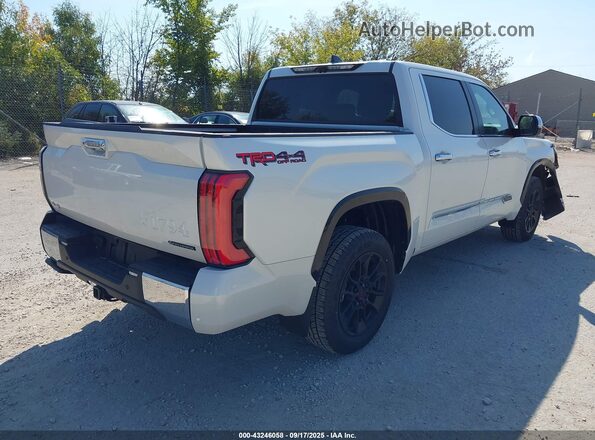 5TFMC5DB3SX095620 2025 TOYOTA TUNDRA HYBRID Белый Задняя правая четверть