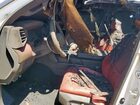 2023 Toyota Tundra Crewmax Limited White vin: 5TFPC5DB5PX024438