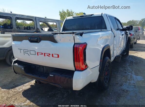 5TFPC5DB7RX058061 2024 TOYOTA TUNDRA HYBRID Белый Задняя правая четверть