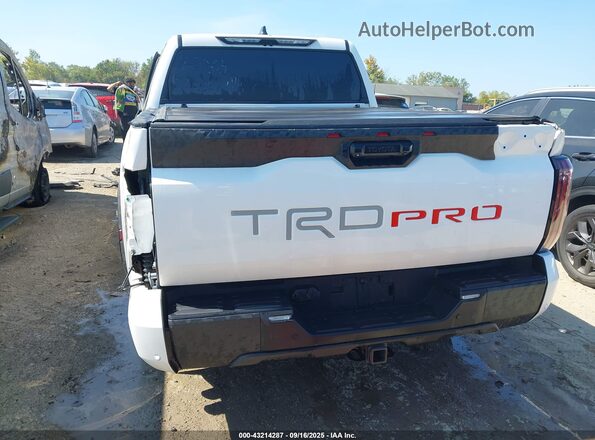 5TFPC5DB7RX058061 2024 TOYOTA TUNDRA HYBRID Белый 