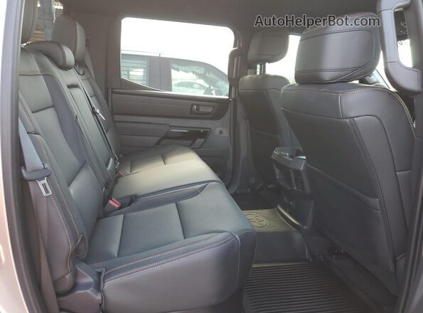 5TFWA5DBXSX253675 2025 TOYOTA LIMITED Silver Вид задніх сидінь