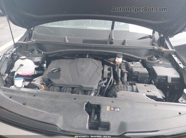 5XYK6CDFXRG215092 2024 KIA SPORTAGE  Вид сзади