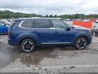 2024 Kia Telluride Ex Blue vin: 5XYP34GC6RG452863