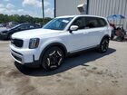 2024 Kia Telluride Ex White vin: 5XYP34GCXRG549547