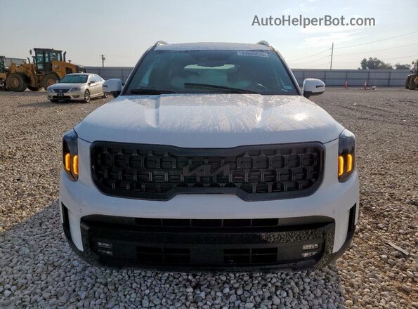 5XYP5DGC2SG640067 2025 KIA TELLURIDE White Widok z przodu