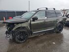 2021 Kia Telluride Sx Green vin: 5XYP5DHC2MG142372