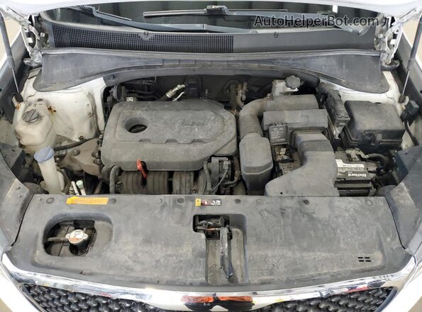 5XYPGDA32JG344208 2018 KIA SORENTO Белый Вид подкапотного пространства