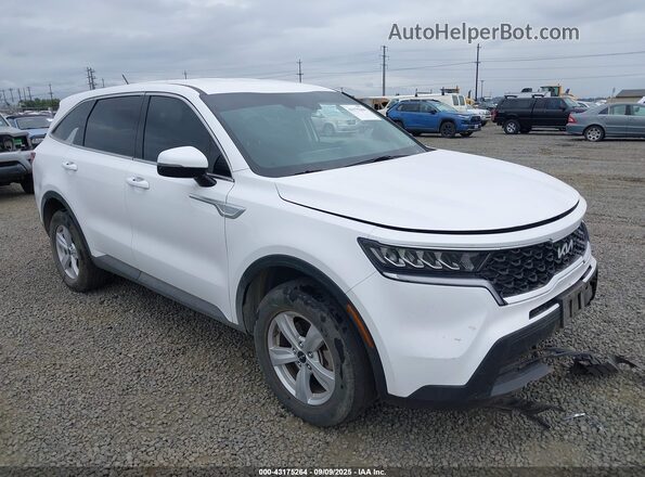 5XYRGDLC7PG241610 2023 KIA SORENTO Белый Передняя правая четверть