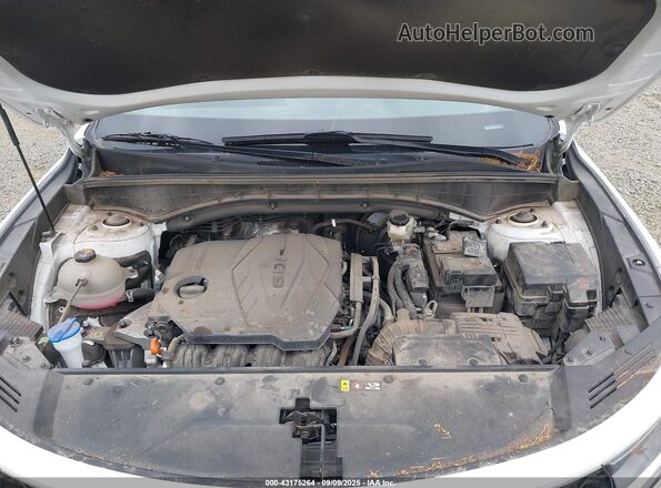 5XYRGDLC7PG241610 2023 KIA SORENTO Белый Вид сзади