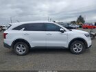 2023 Kia Sorento Lx Белый vin: 5XYRGDLC7PG241610