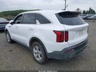 2023 Kia Sorento Lx Белый vin: 5XYRGDLC7PG241610
