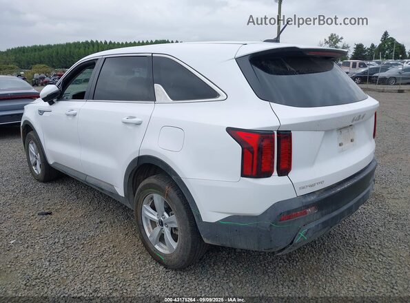 5XYRGDLC7PG241610 2023 KIA SORENTO Белый Задняя левая четверть