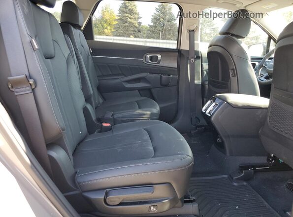 5XYRKDJF6RG293311 2024 KIA SORENTO Кремовый Вид задней части салона