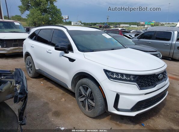 5XYRL4LC3MG019752 2021 KIA SORENTO Белый Вид задней части салона