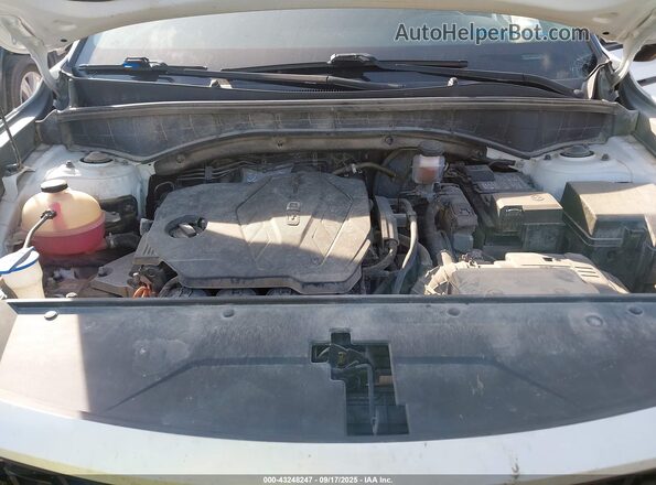 5XYRL4LC3MG019752 2021 KIA SORENTO Белый Вид сзади