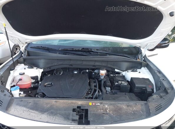 5XYRLDLCXMG031526 2021 KIA SORENTO White Rear view