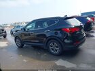 2016 Hyundai Santa Fe Sport 2.4l Черный vin: 5XYZU3LB4GG371757