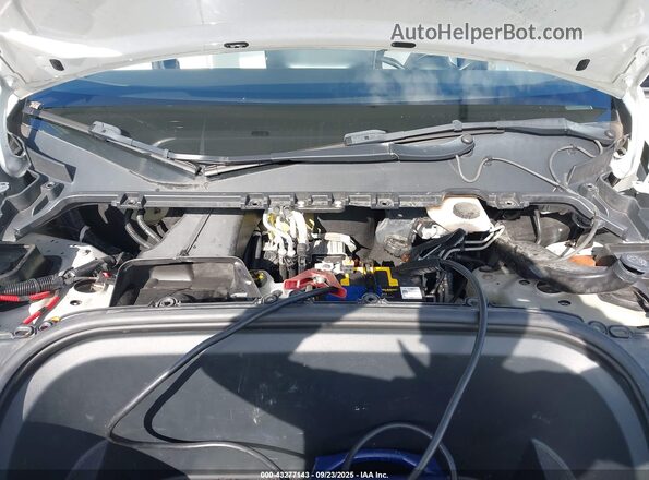 5YJYGDEE4MF252819 2021 TESLA MODEL Y White უკანა ხედი