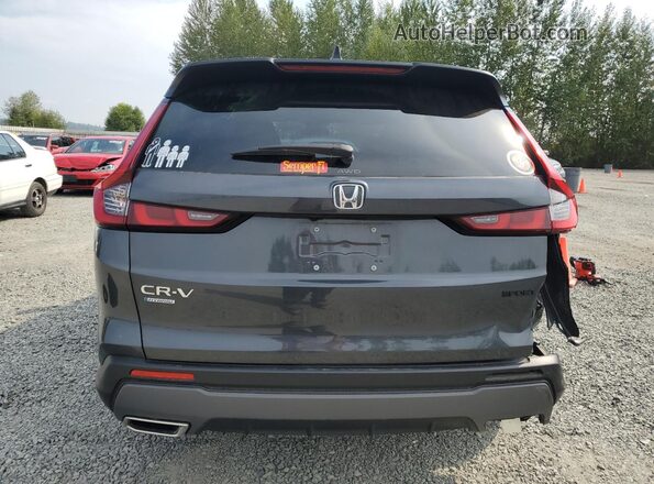 7FARS6H53PE019078 2023 HONDA CR-V Gray Widok z tyłu